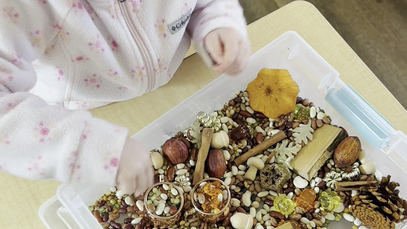 Primary Classroom Fall Work Period